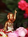 我院隆重举行佛历2555年庆祝释迦佛圣诞浴佛法会