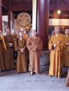 【07级毕业班赴浙参学系列报道】参访七塔寺、观宗寺、居士林